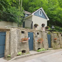 Mayowood Mansion - Rochester