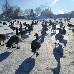 Silver Lake Park - Rochester