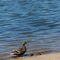 Lake George - Saint Cloud