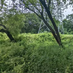 Riverside Park - Saint Cloud