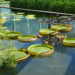 Como Park Zoo and Conservatory - Saint Paul