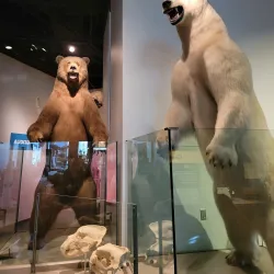 Science Museum of Minnesota Omnitheater - Saint Paul