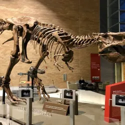 Science Museum of Minnesota Omnitheater - Saint Paul