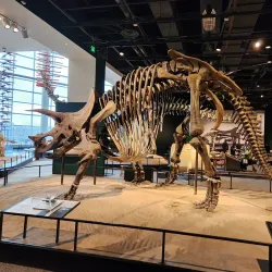 Science Museum of Minnesota Omnitheater - Saint Paul