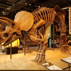 Science Museum of Minnesota - Saint Paul