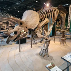 Science Museum of Minnesota - Saint Paul