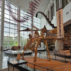 Science Museum of Minnesota - Saint Paul