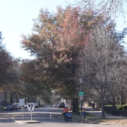 Summit Avenue - Saint Paul