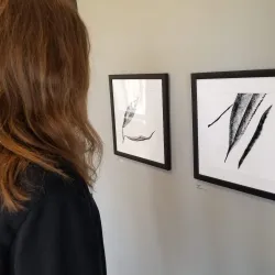 ArtReach St. Cloud - St. Cloud