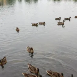 Lake George - St. Cloud