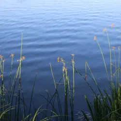 Lake George - St. Cloud