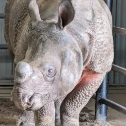 Miller Park Zoo - St. Cloud