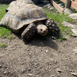 Miller Park Zoo - St. Cloud