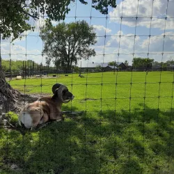 Miller Park Zoo - St. Cloud