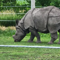 Miller Park Zoo - St. Cloud