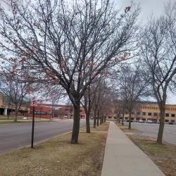 St. Cloud State University Campus - St. Cloud