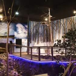 Stearns History Museum - St. Cloud