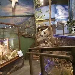 Stearns History Museum - St. Cloud