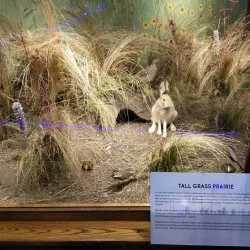 Stearns History Museum - St. Cloud