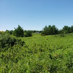 Central Lakes Trail - Staples
