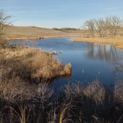 Central Lakes Trail - Staples