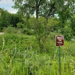 Central Lakes Trail - Staples