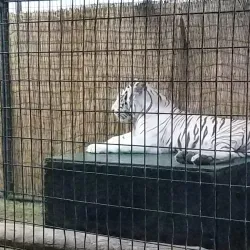 Crow Wing County Fairgrounds - Staples