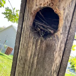 Lakewood Park - Staples