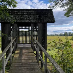 Sandy Lake Recreation Area - Staples