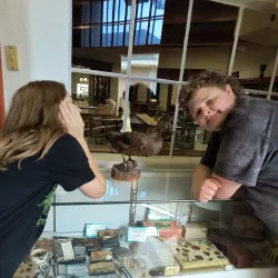 Pioneer Village Museum - Thief River Falls