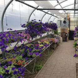 Red Lake River Trail - Thief River Falls