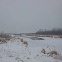 Red Lake River - Thief River Falls