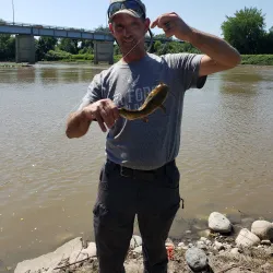 Red Lake River - Thief River Falls