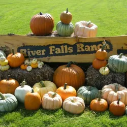 Thief River Falls Farmers Market - Thief River Falls