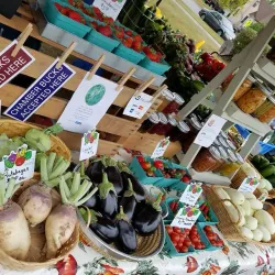 Thief River Falls Farmers Market - Thief River Falls