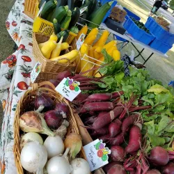 Thief River Falls Farmers Market - Thief River Falls
