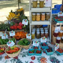Thief River Falls Farmers Market - Thief River Falls