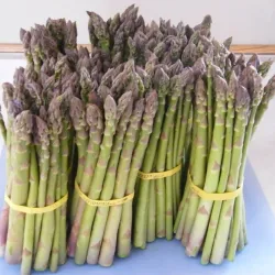 Thief River Falls Farmers Market - Thief River Falls