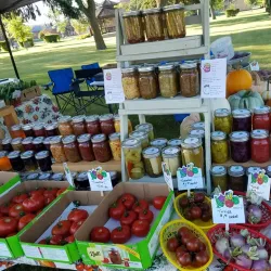 Thief River Falls Farmers Market - Thief River Falls