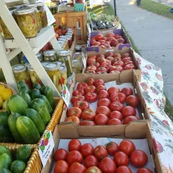 Thief River Falls Farmers Market - Thief River Falls