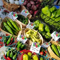Thief River Falls Farmers Market - Thief River Falls