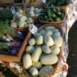 Thief River Falls Farmers Market - Thief River Falls