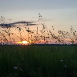 Thief River Falls Regional Park - Thief River Falls