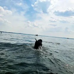 Green Lake Park - Willmar