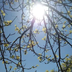 Green Lake Park - Willmar