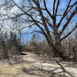 Willmar Lakes Area Trail System - Willmar
