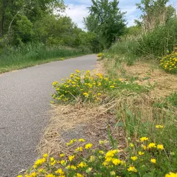 Willmar Lakes Area Trail System - Willmar
