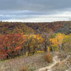Garvin Heights City Park - Winona