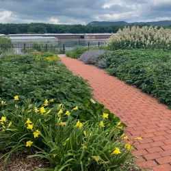 Minnesota Marine Art Museum - Winona