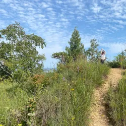 Sugar Loaf Bluff - Winona